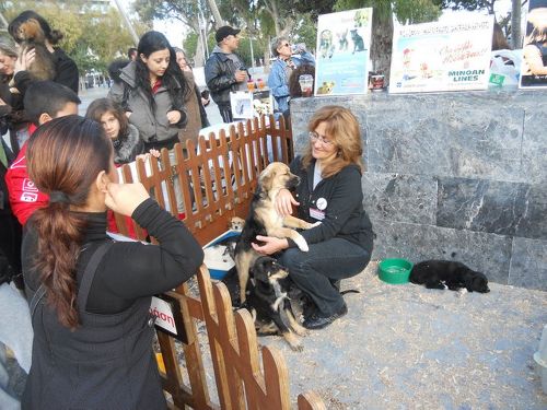 Από την εκδήλωση της Ζωόφιλης Δράσης Από την εκδήλωση της Ζωόφιλης Δράσης