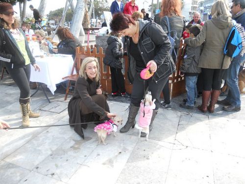 Από την εκδήλωση της Ζωόφιλης Δράσης Από την εκδήλωση της Ζωόφιλης Δράσης