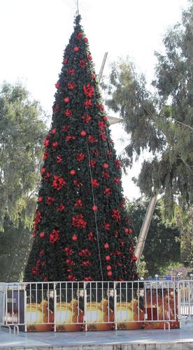 Το Χριστουγεννιάτικο Δέντρο στην Πλατεία Ελευθερίας