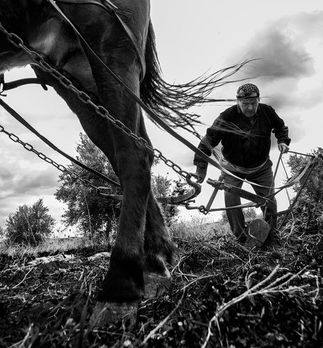 Έκθεση της Ελληνικής Φωτογραφικής Εταιρείας Κρήτης