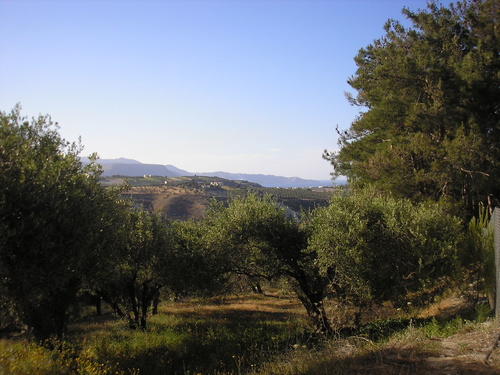 Πολιτιστικός Σύλλογος Αθανάτων Πολιτιστικός Σύλλογος Αθανάτων