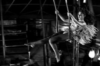 Τα Φτερά του Έρωτα