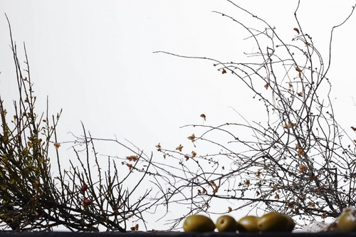 «Η ΜΑΖΩΧΤΡΑ» «Η ΜΑΖΩΧΤΡΑ»