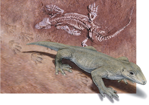 «Σάββατα με τους Επιστήμονες»