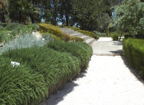 Σάββατα με τους Επιστήμονες Σάββατα με τους Επιστήμονες