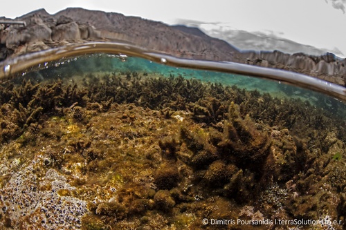 Σάββατα με τους Επιστήμονες Σάββατα με τους Επιστήμονες