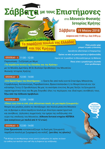 Τα παράξενα πουλιά της Ελλάδας και της Κρήτης Τα παράξενα πουλιά της Ελλάδας και της Κρήτης