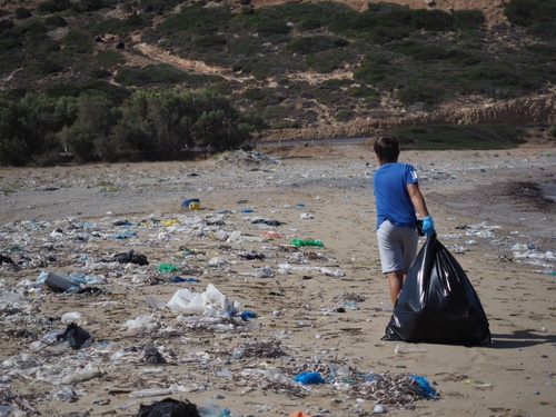  Περιβαλλοντική κρίση