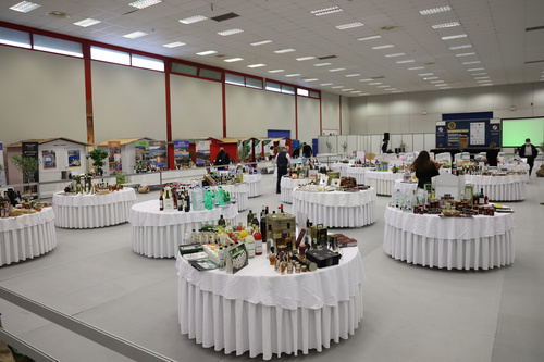 ΠΑΓΚΡΗΤΙΟ ΦΟΡΟΥΜ ΠΑΓΚΡΗΤΙΟ ΦΟΡΟΥΜ