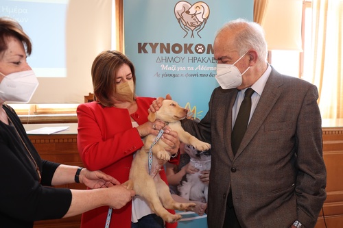λίου: Παγκόσμια Ημέρα Αδέσποτων Ζώων – Καμπάνια ενημέρωσης και ευαισθητοποίησης από τον Δήμο Ηρακλείου 