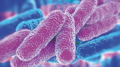 Πιστοποιημένη εξ αποστάσεως εκπαίδευση υπεύθυνων για τον έλεγχο της Νόσου των Λεγεωνάριων. Έναρξη: 27/04/22 Πιστοποιημένη εξ αποστάσεως εκπαίδευση υπεύθυνων για τον έλεγχο της Νόσου των Λεγεωνάριων. Έναρξη: 27/04/22