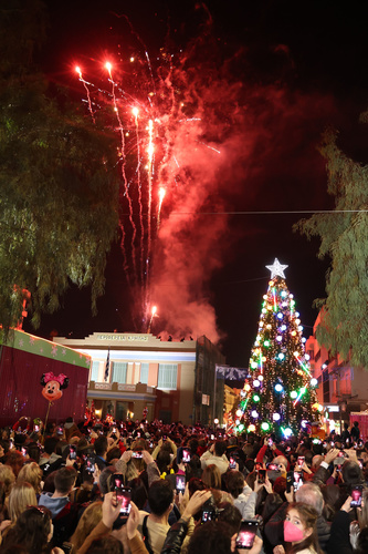Πλήθος κόσμου στην φωταγώγηση του Χριστουγεννιάτικου Δέντρου- Δείτε το βίντεο