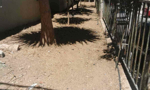  Ξεκίνησε ο καλλωπισμός και η συντήρηση των χώρων πρασίνου σε όλα τα σχολεία του Δήμου Ηρακλείου