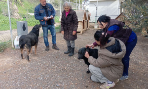 Δράση ιατρικής φροντίδας για τα αδέσποτα σκυλιά στο ΕΛΜΕΠΑ από το Κυνοκομείο του Δήμου ΗρακλείουΣτο πλαίσιο της διαρκούς μέριμνας για τη φροντίδα των αδέσποτων ζώων, το Κυνοκομείο του Δήμου Ηρακλείου πραγματοποίησε εκτεταμένη δράση ιατρικής φροντίδας στις εγκαταστάσεις του Ελληνικού Μεσογειακού Πανεπιστημίου (ΕΛΜΕΠΑ) την Τρίτη 10/2.

