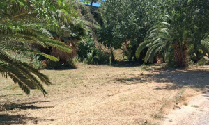 Παρεμβάσεις συντήρησης του πρασίνου στον Ευκάλυπτο Παρεμβάσεις συντήρησης του πρασίνου στον Ευκάλυπτο