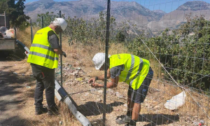 Συνεχίζονται οι παρεμβάσεις του Δήμου Ηρακλείου για την αποτροπή δημιουργίας χωματερών
Συνεχίζονται οι παρεμβάσεις του Δήμου Ηρακλείου για την αποτροπή δημιουργίας χωματερών